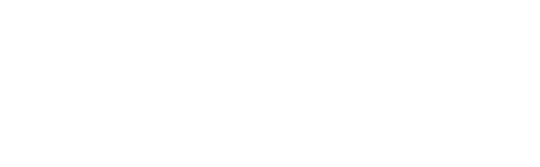 Digital Rakes - Business Technology Solutions For All